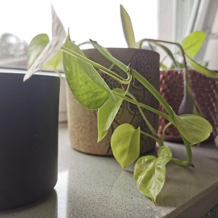Apartment Maigloeckchen Fritzlar Eksteriør billede